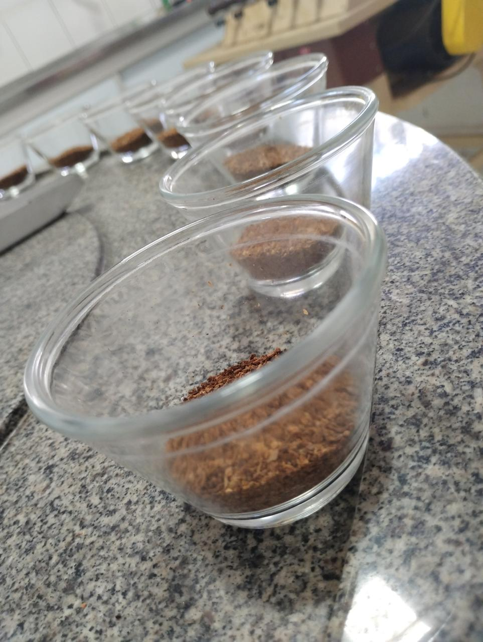 Prova de xícara — análise sensorial de café moído
