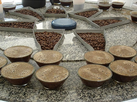 Café Natural