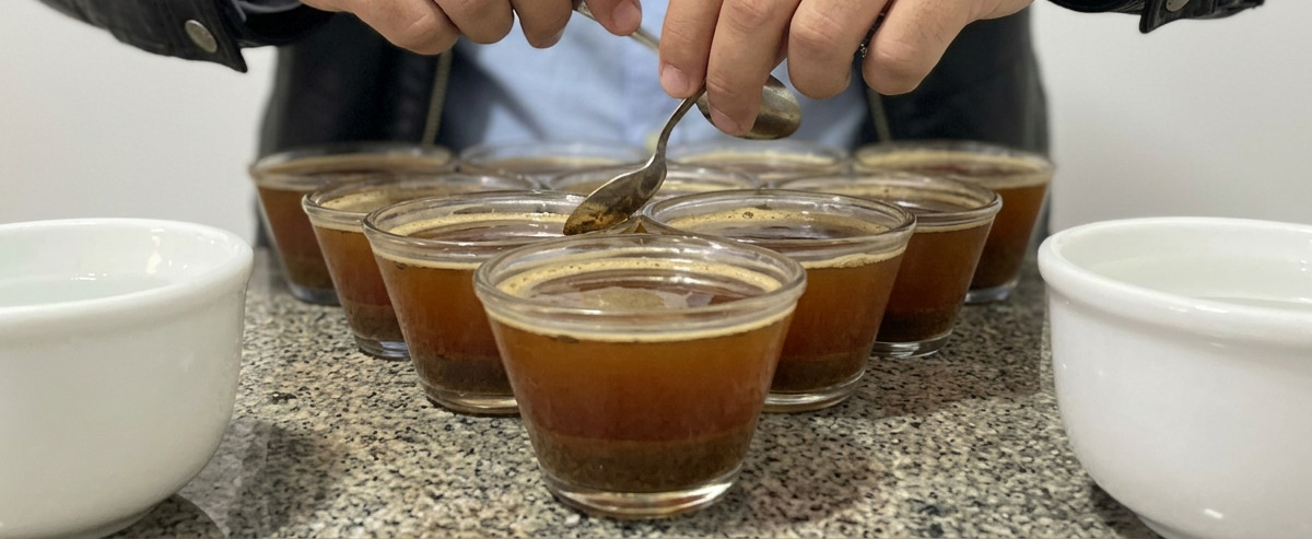 Cereja Despolpado