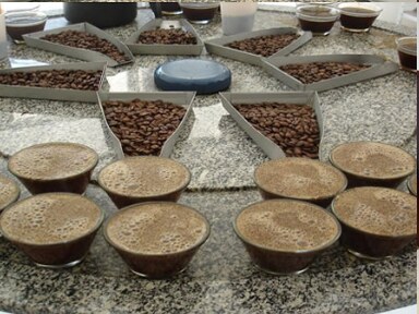 Mesa de cupping